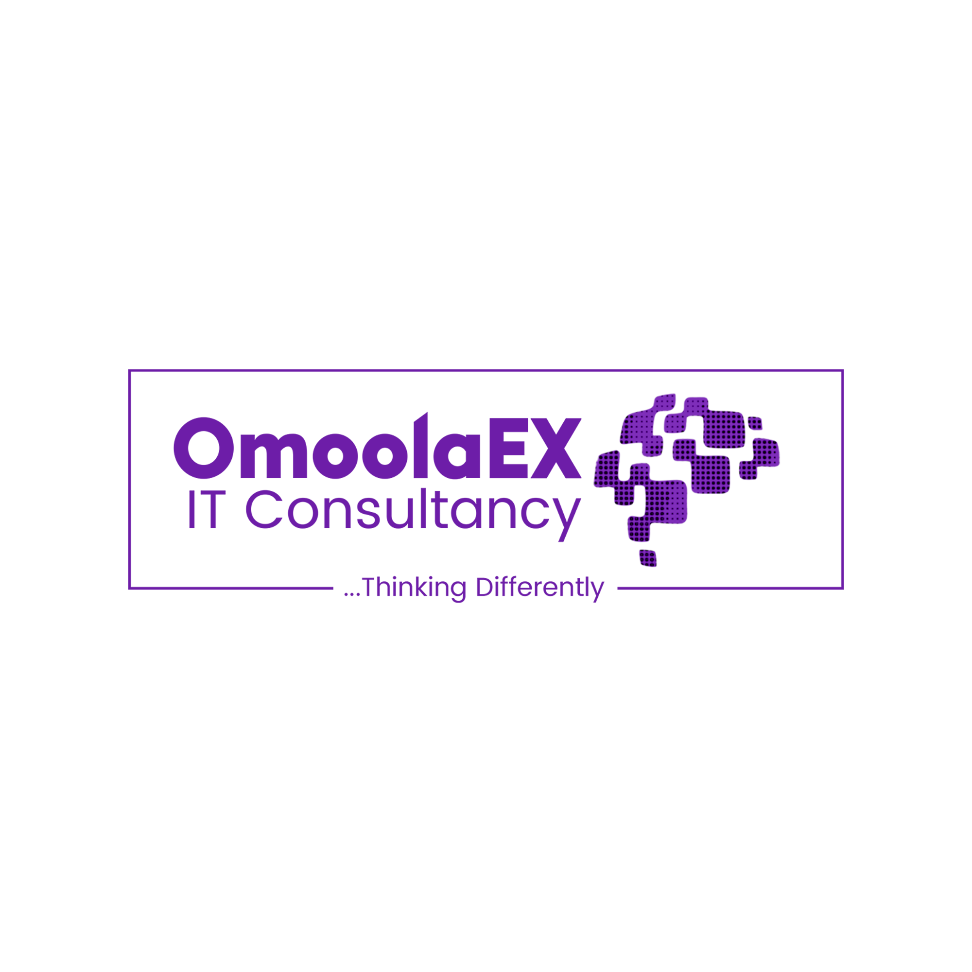 OmoolaEx IT Consultancy